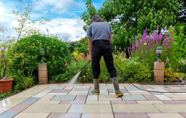 Best Driveway Pressure Washing  in Winton, CA
